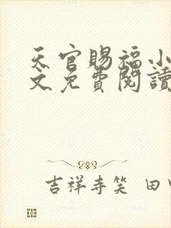 天官赐福小说全文免费阅读未删减无弹窗笔封面