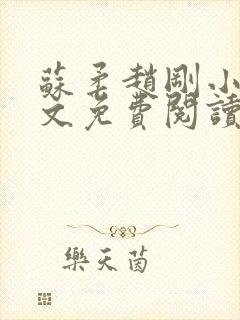 苏柔赵刚小说全文免费阅读封面