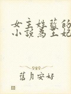 女主姓蓝的穿越小说为王妃