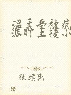 温柔受被疯批反派盯上后小说免费阅读