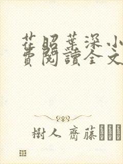 花昭叶深小说免费阅读全文封面