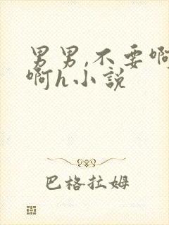 男男,不要啊啊啊h小说封面