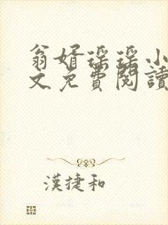 翁婿瑶瑶小说全文免费阅读最新章节封面