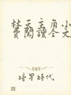 林天主角小说免费阅读全文