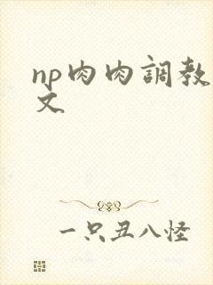 np肉肉调教辣文