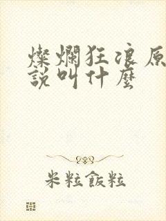 灿烂狂浪原著小说叫什么