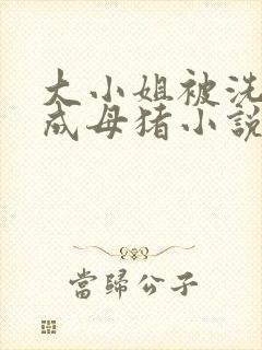 大小姐被洗脑变成母猪小说免费阅读