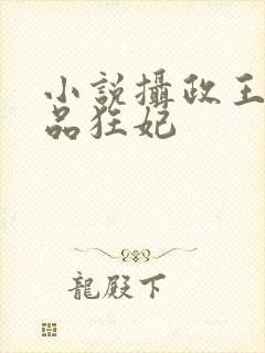 小说摄政王的医品狂妃