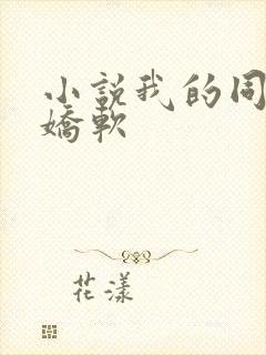 小说我的同桌很娇软