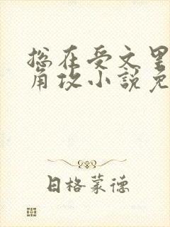 总在受文里抢主角攻小说免费阅读