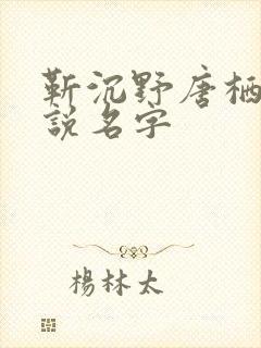 靳沉野唐栖雾小说名字