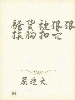 骚货被狠狠调教揉胸扣穴封面