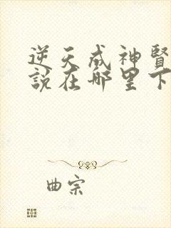 逆天成神贤君小说在哪里下载