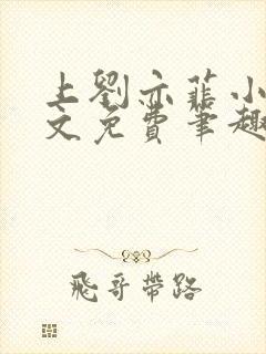 上刘亦菲小说全文免费笔趣阁