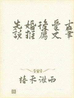 先婚后爱古言小说推荐文笔好高质量