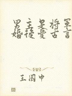 男主是将军的先婚后爱古言