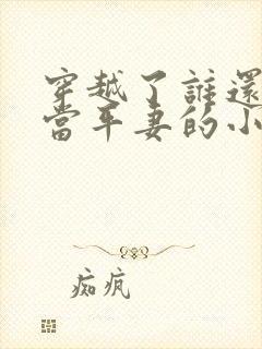 穿越了谁还稀罕当平妻的小说