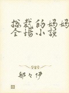 总裁的妈妈惊艳全场小说