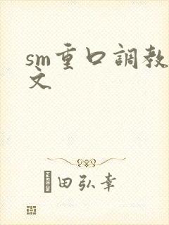 sm重口调教h文封面