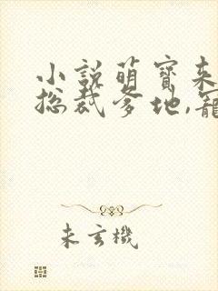 小说萌宝来袭:总裁爹地,宠上天