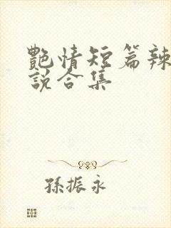 艳情短篇辣文小说合集