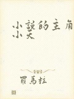 小说的主角叫陈小天封面