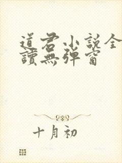 道君小说全文阅读无弹窗封面