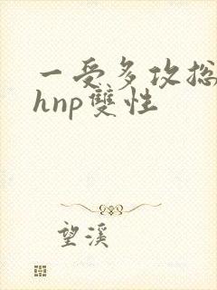 一受多攻总受高hnp双性