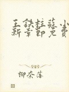 王铁柱苏小汐最新章节免费阅读