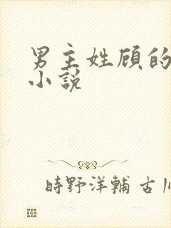 男主姓顾的总裁小说封面