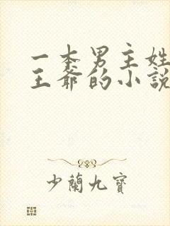 一本男主姓萧是王爷的小说