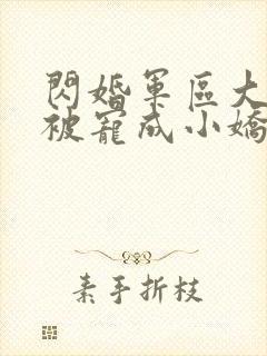 闪婚军区大佬她被宠成小娇妻