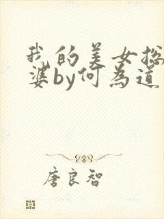 我的美女总裁老婆by何为道