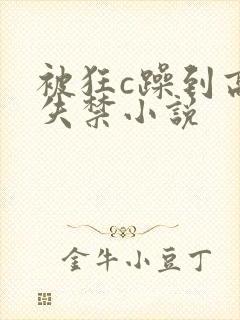 被狂c躁到高潮失禁小说