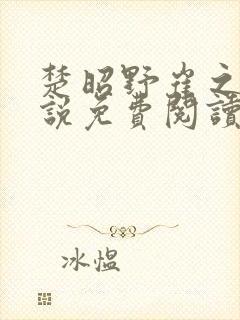 楚昭野崔之棠小说免费阅读最新章节