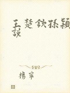 王楚钦孙颖莎小说