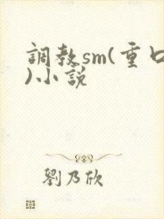 调教sm(重口)小说封面