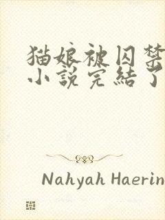 猫娘被囚禁雌堕小说完结了吗