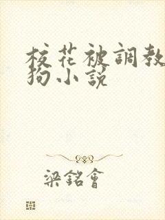 校花被调教成母狗小说封面