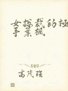 女总裁的极品高手叶枫