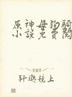 原神母狗骑士团小说免费阅读全文