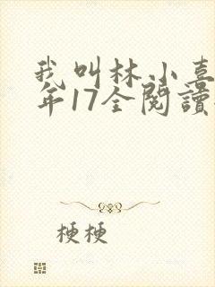 我叫林小喜,今年17全阅读全文txt封面