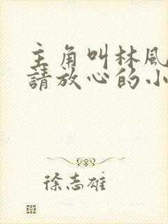 主角叫林风道友请放心的小说