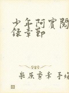 少年阿宾阅读目录章节