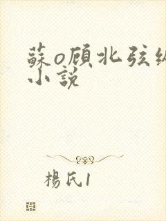 苏o顾北弦纵横小说