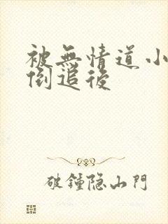 被无情道小师弟倒追后封面