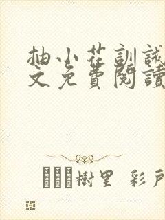 抽小花训诫文全文免费阅读封面