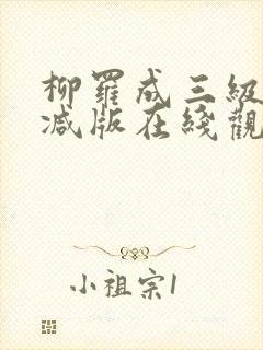 柳罗成三级未删减版在线观看封面