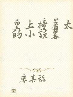 皇上撞着太子妃的小说暮