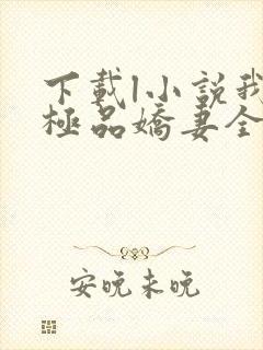 下载l小说我的极品娇妻全部封面